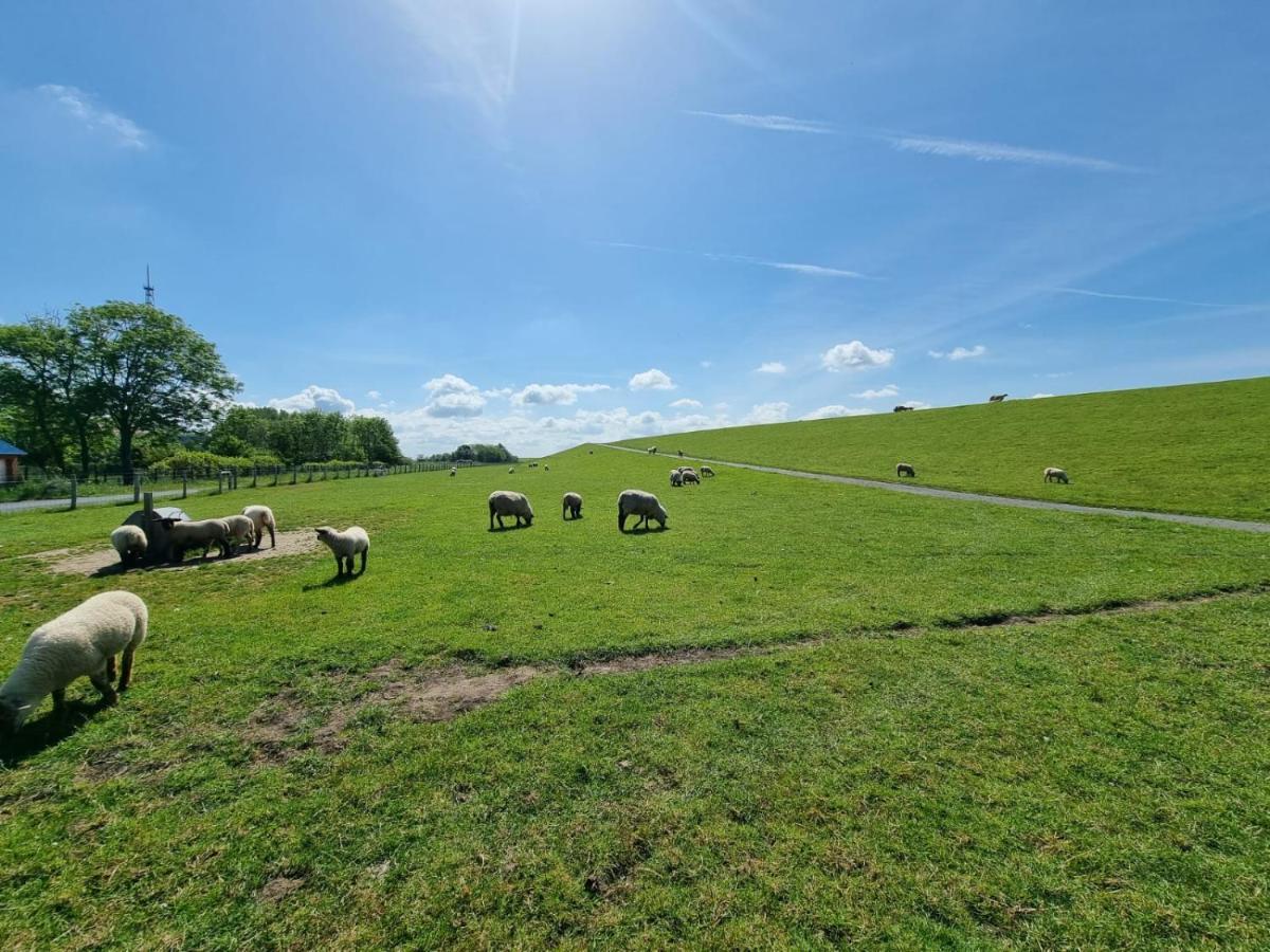 Vila Ferienhaus Moewennest Norden Exteriér fotografie